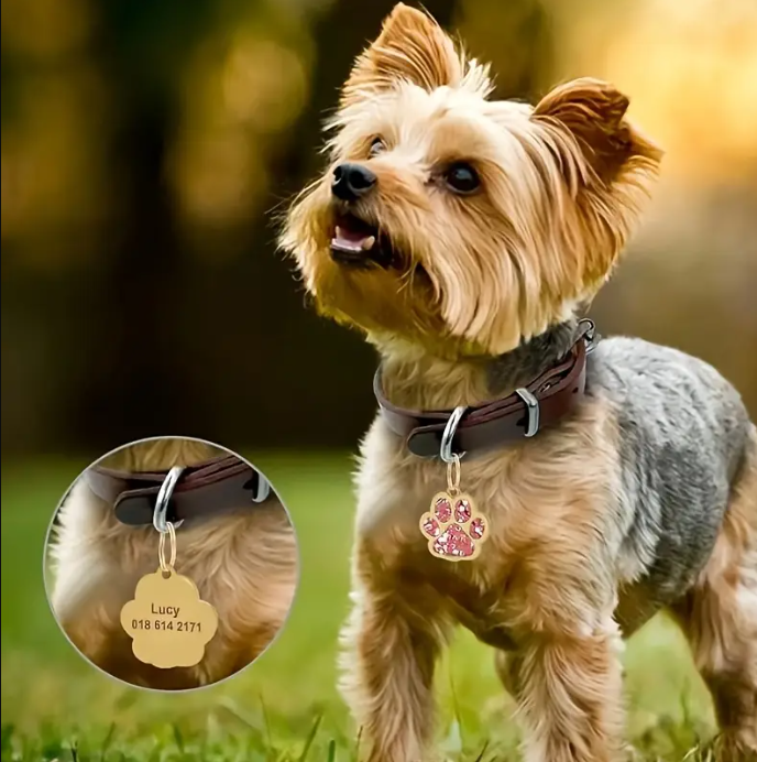 PG17 - Personalized Pet Tag For Collar